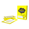 The Safety Dilemmas Game - Image 2