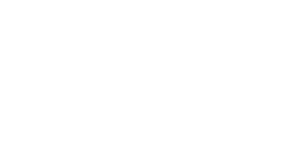 DNV logo