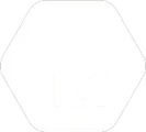 Logo ISN
